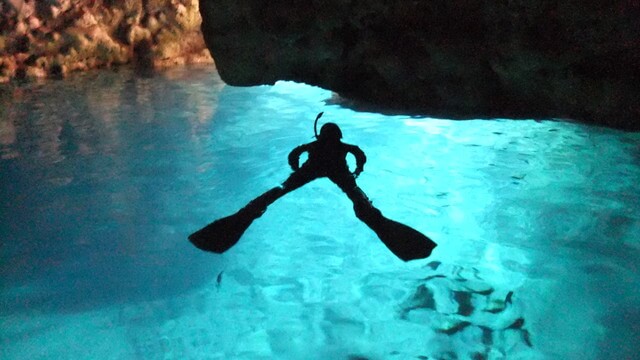 可愛いお魚と青の洞窟シュノーケルの画像