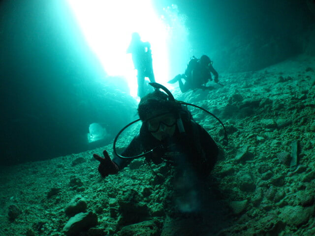 可愛いお魚と青の洞窟シュノーケルの画像